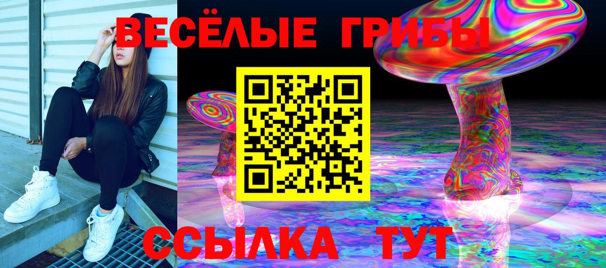 купить   Псилоцибиновые грибы Psilocybe  Вход с VPN  Томск 