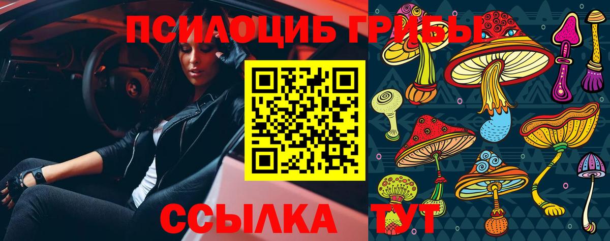 Галлюциногенные грибы Cubensis Томск